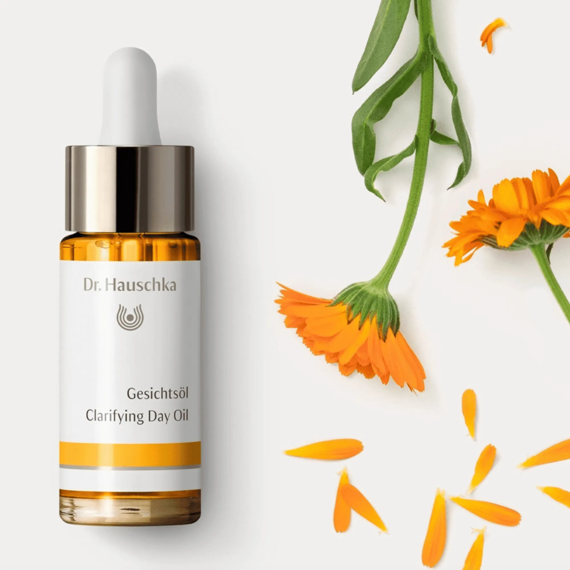 Dr. Hauschka Clarifying Day Oil